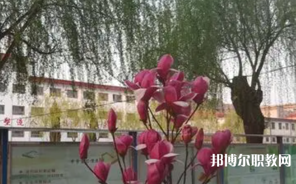 2023柏鄉(xiāng)縣職教中心招生計(jì)劃 招生人數(shù)是多少(附要求、條件、對(duì)象)