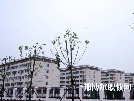 汝陽中等專業(yè)學校2023年中考招生錄取分數線(2024參考)