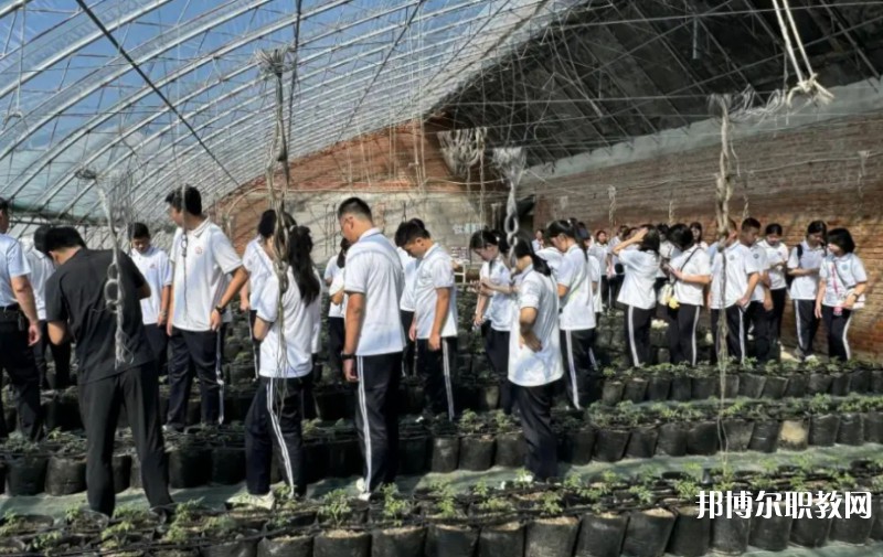 2024營口市農(nóng)業(yè)工程學校招生計劃 招生人數(shù)是多少(附要求、條件、對象)