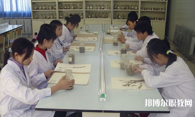 沈陽市中醫(yī)藥學(xué)校怎么樣、好不好