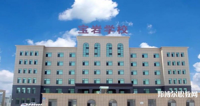 2025沈陽(yáng)寶巖藝術(shù)學(xué)校招生計(jì)劃 招生人數(shù)是多少(附要求、條件、對(duì)象)