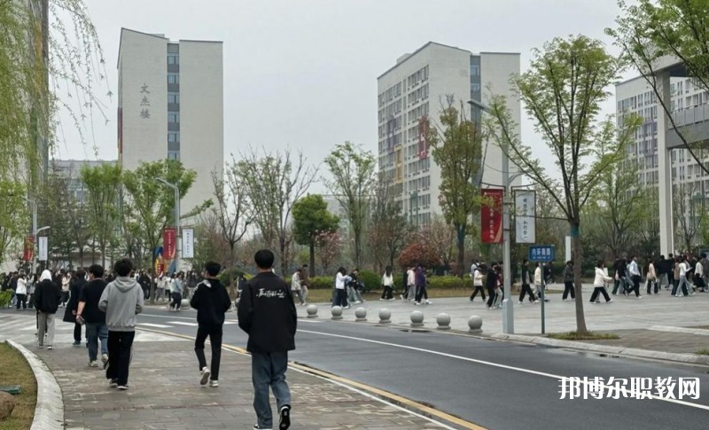 2025合肥技師學(xué)院招生計(jì)劃 招生人數(shù)是多少(附要求、條件、對(duì)象)